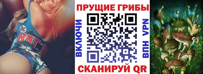 Галлюциногенные грибы Magic Shrooms Кубинка